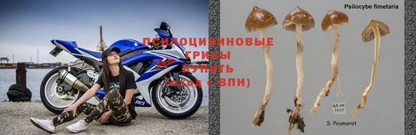 винт Армянск