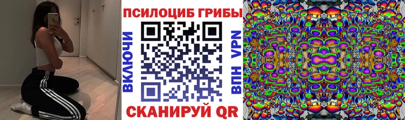 Галлюциногенные грибы мицелий  даркнет сайт  Гремячинск 